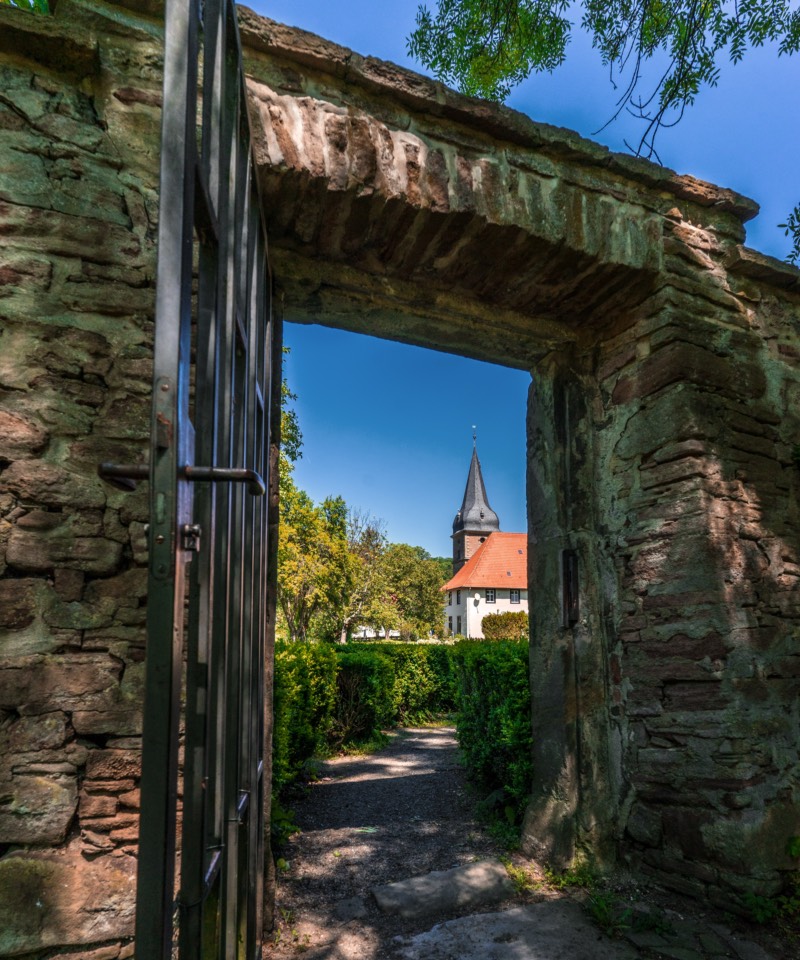 Seitliche Fotografie mit natürlichem Rahmen