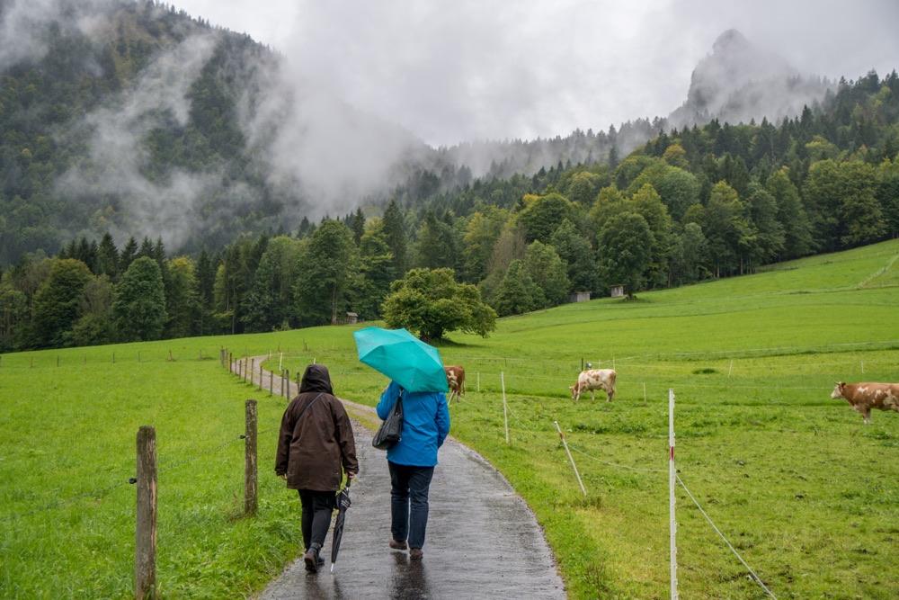Spaziergang im Regen