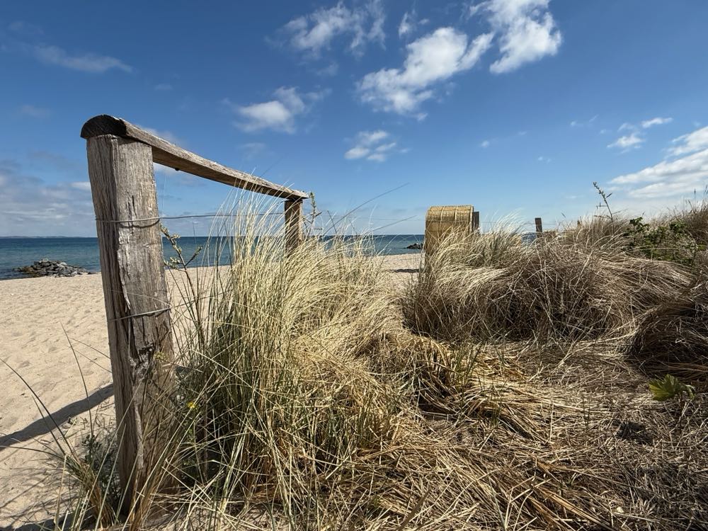 Strandbild mit Vordergrund