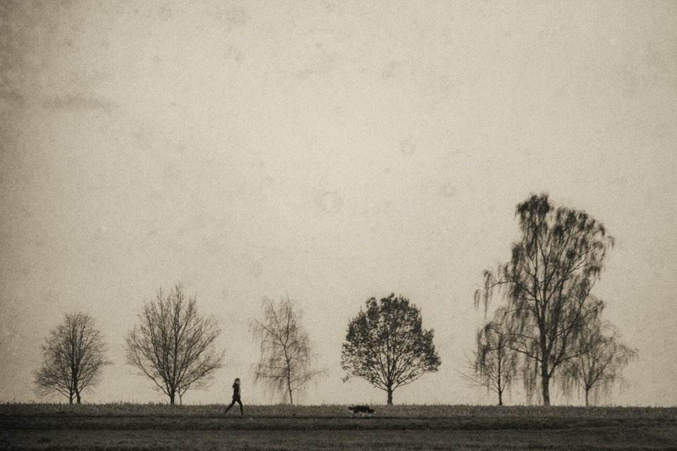 Vintage Look, Bäume