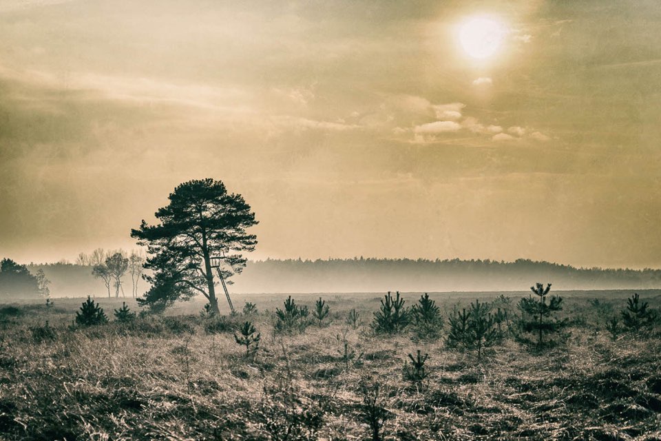 Moorlandschaft bei Sonnenuntergang