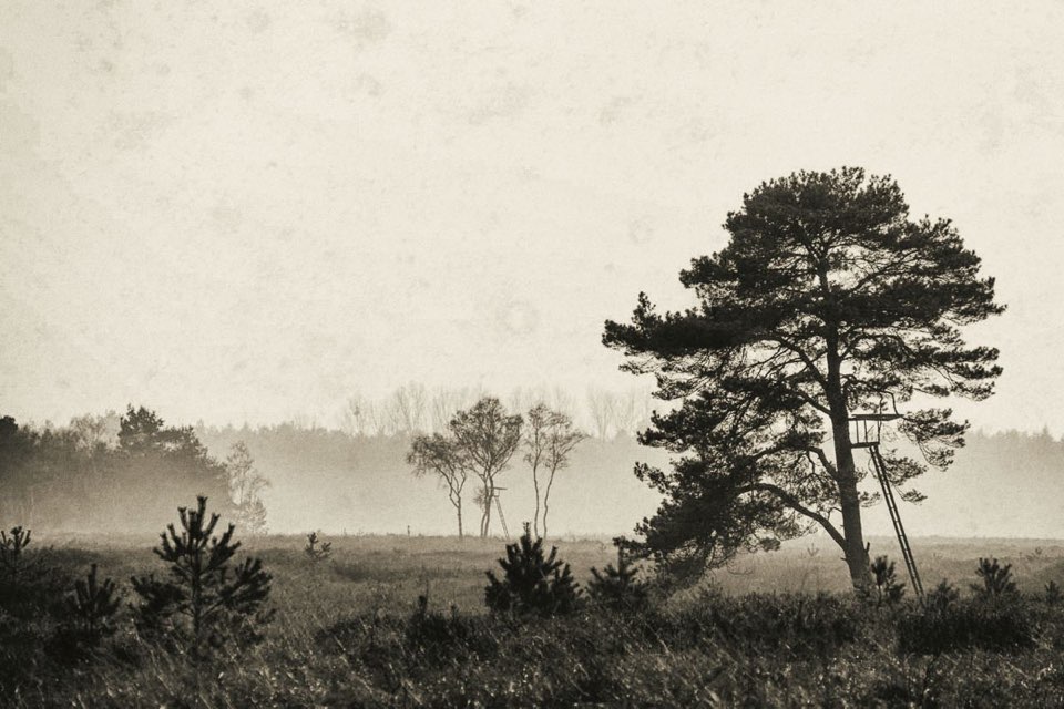 Moorlandschaft bei Sonnenuntergang