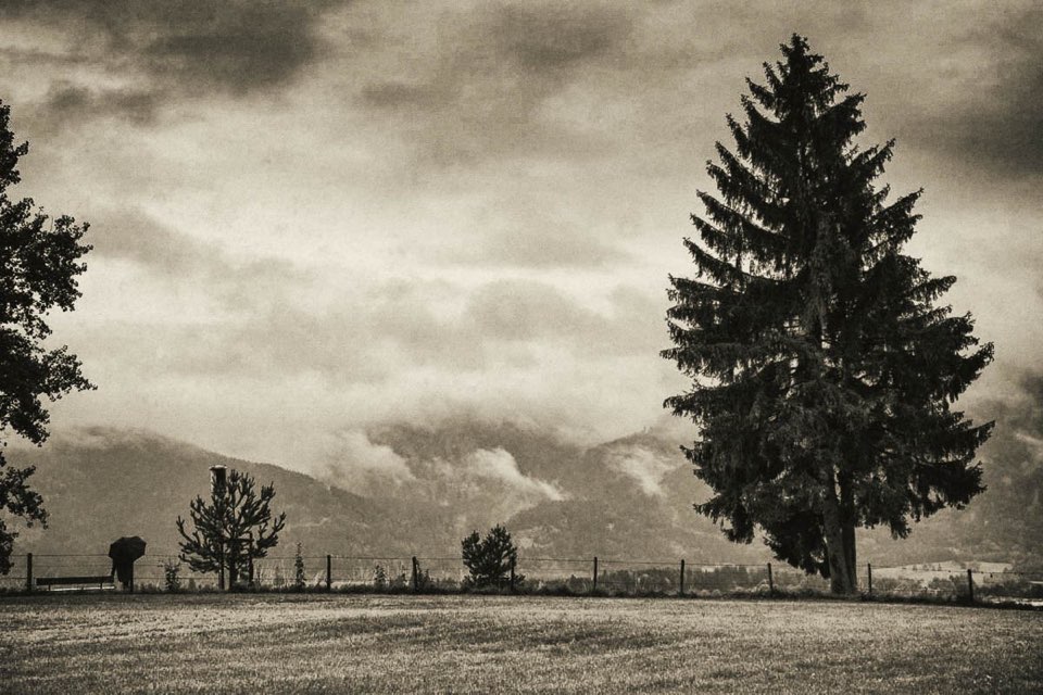 Vintage Look, Bäume