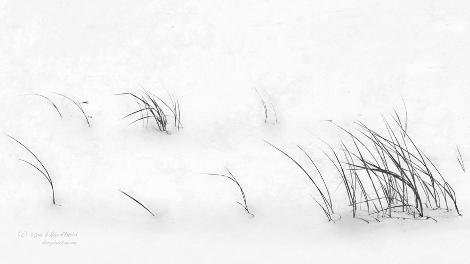 Black and White Minimalism