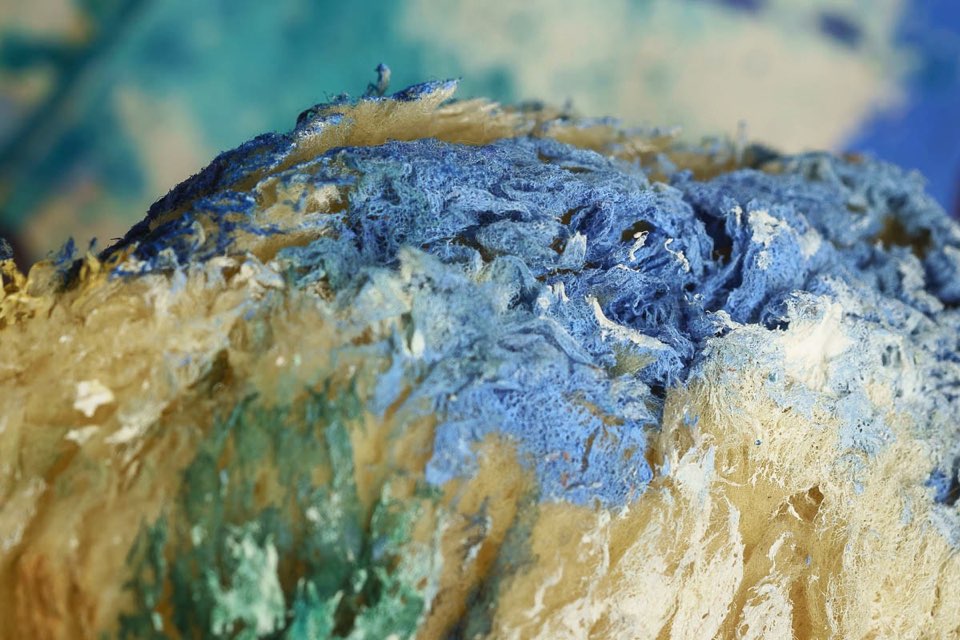 Makroaufnahme Schwamm, Malerei