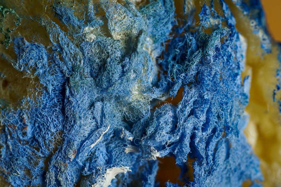Makroaufnahme Schwamm, Malerei