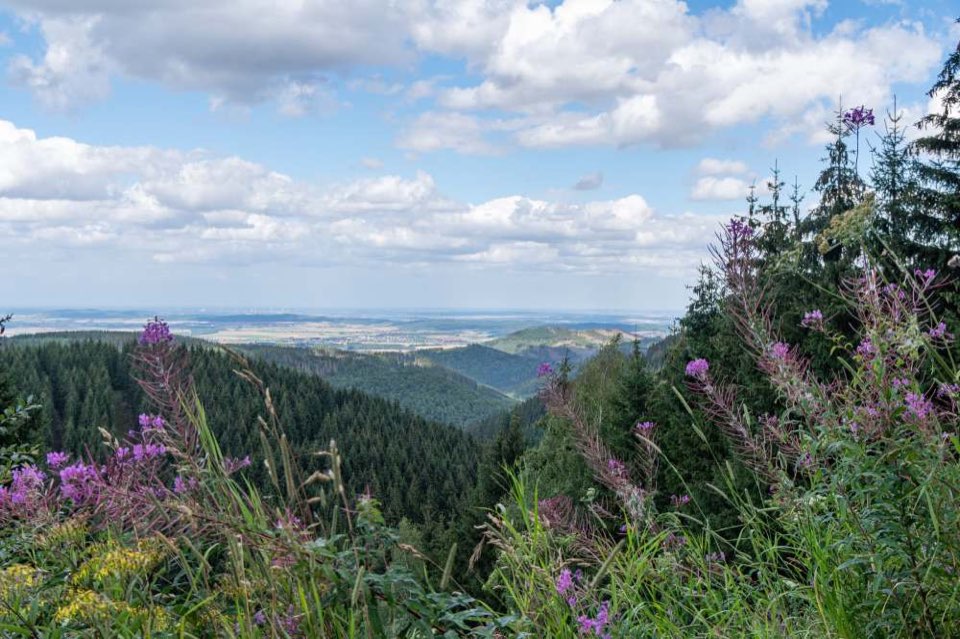 Foto - Natürliche Rahmen in der Fotografie 