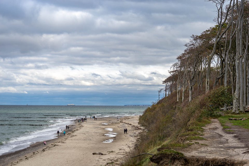 Gespensterwald Nienhagen, Ostsee