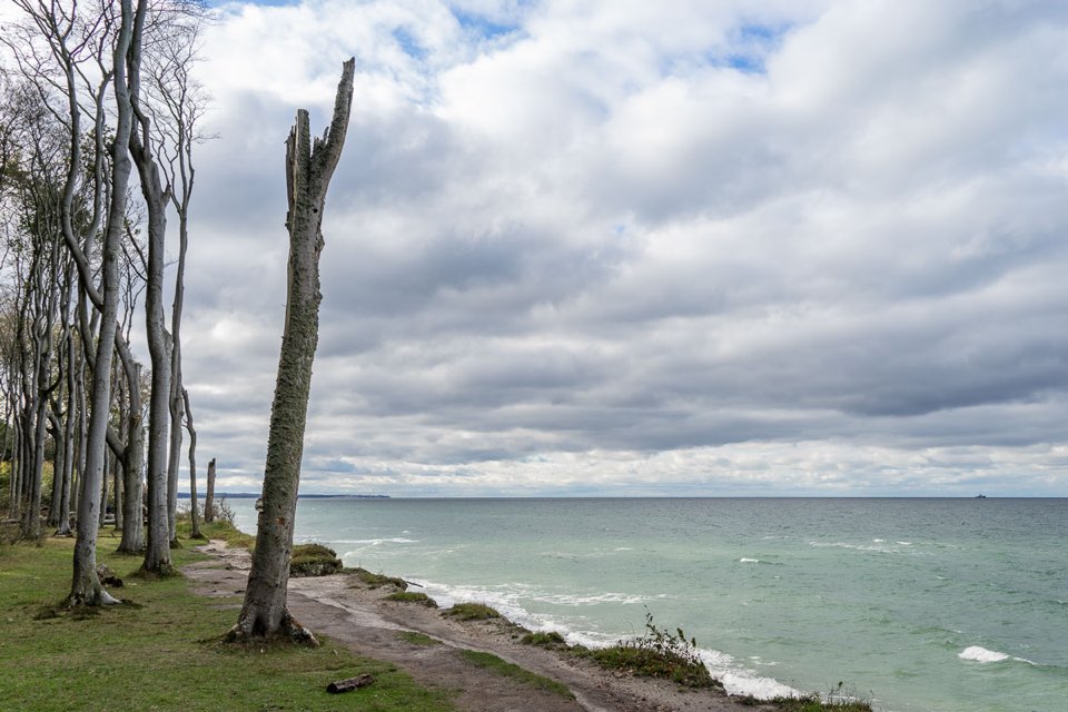 Gespensterwald Nienhagen, Ostsee