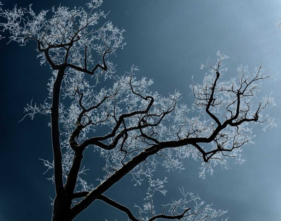 Solarisation, Fotobearbeitung