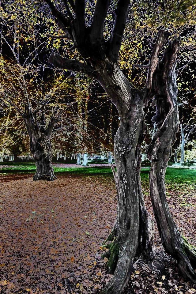 Solarisation, Fotobearbeitung