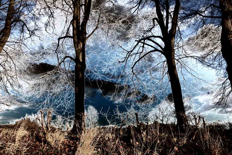 Solarisation, Fotobearbeitung