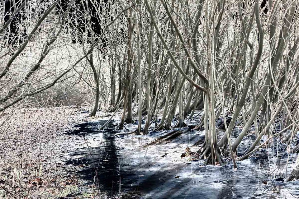 Solarisation, Fotobearbeitung