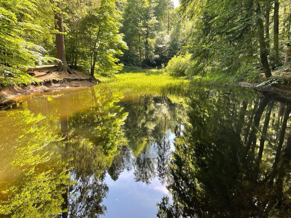 foto-spiegelung-1110