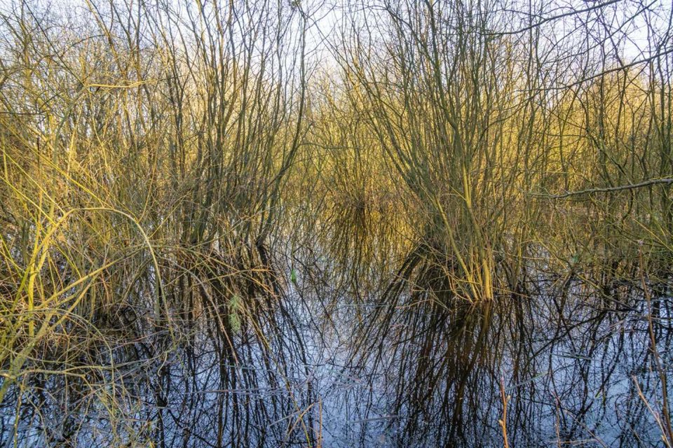 foto-spiegelung-1130