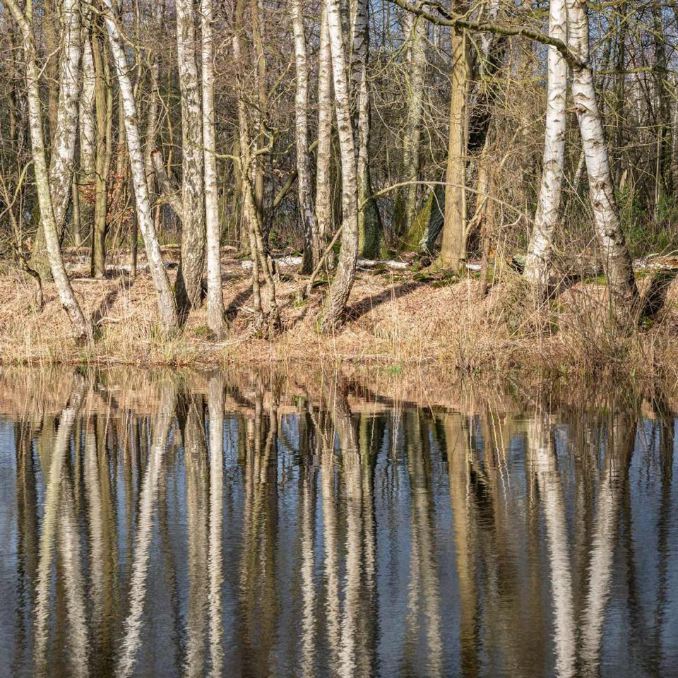foto-spiegelung-1320