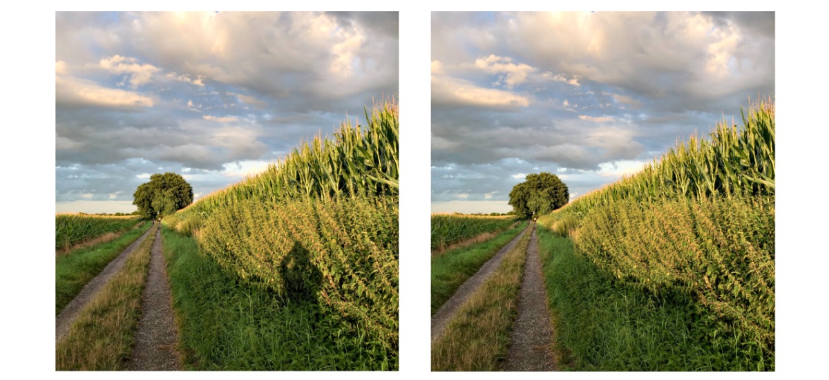 Foto Retusche mit Bildbearbeitung
