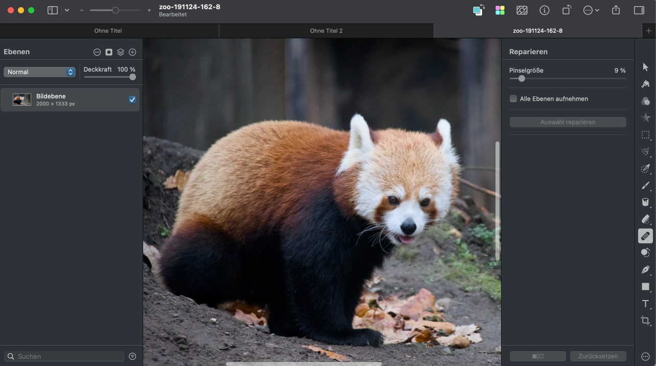 Pixelmator Pro Benutzeroberfläche